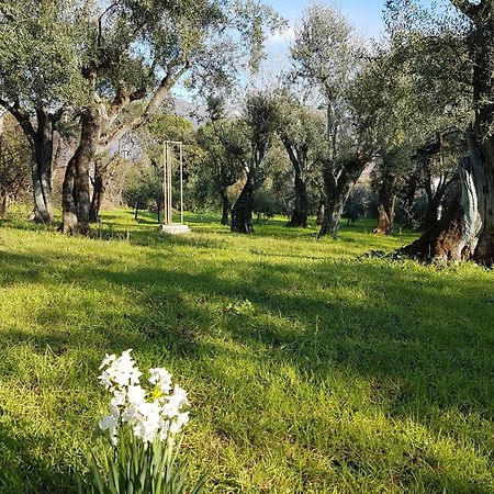 Antico Uliveto Guest House Seravezza Exterior photo