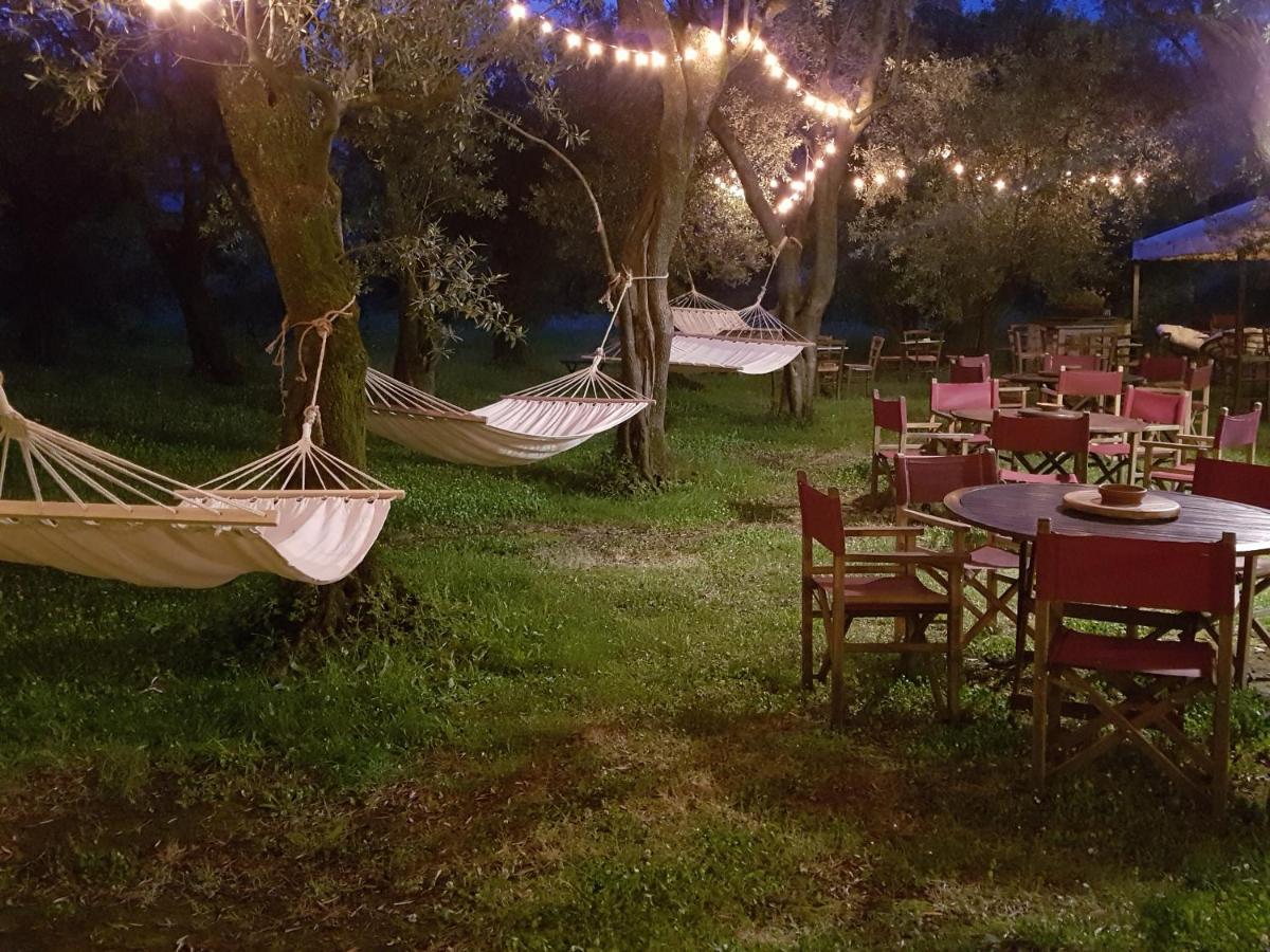 Antico Uliveto Guest House Seravezza Exterior photo
